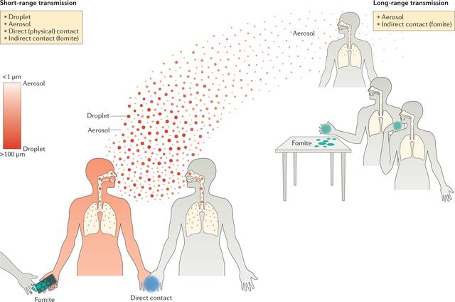 How Do Viral Infections Spread? Exploring Transmission Methods