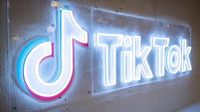 Can you provide a brief overview of TikTok